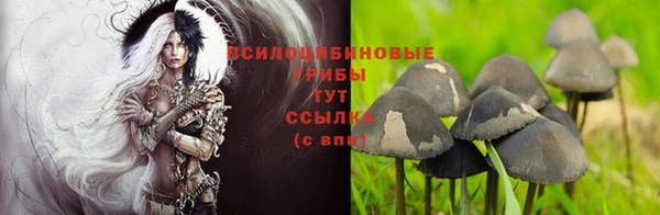 метадон Алексеевка