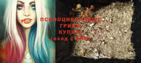 крисы Арсеньев