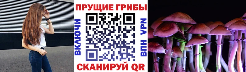 Галлюциногенные грибы GOLDEN TEACHER  Байкальск 