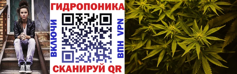 Шишки марихуана сатива  mega ссылка  Байкальск  где продают  